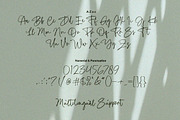 Ballpen - Handwritten Signature font, a Script Font by Subectype Studio (Thumbnail 7 of 7)