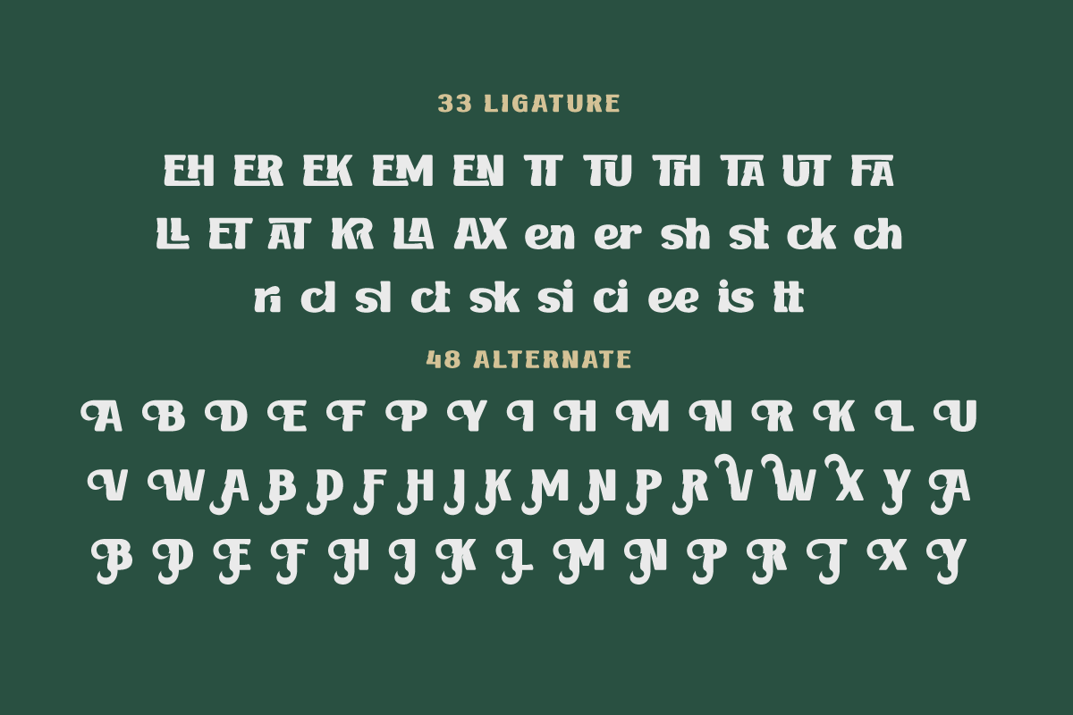 BAKRUV | Serif Classic Modernism, a Serif Font by twinstd (Photo 10 of 13)