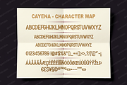 Cayena - Modern Serif, a Serif Font by Astuti Studio (Thumbnail 4 of 25)