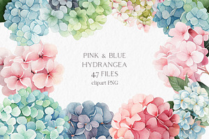 Pink Blue Hydrangea Flower Clipart