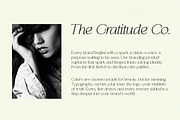 Analogi serif, a Serif Font by Soft Creative (Thumbnail 9 of 13)
