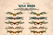 Wild Birds, an Animal Illustration by Ink Stories (Thumbnail 17 of 20)