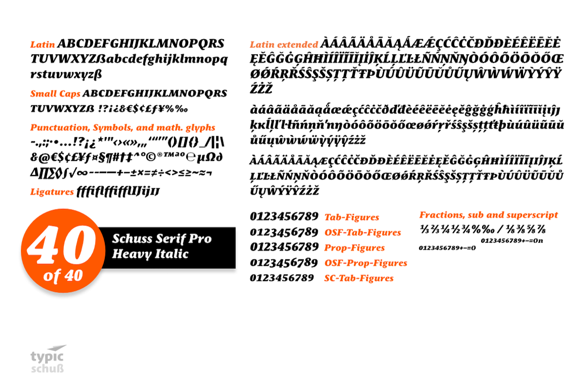 SchussSerifProHeavIta No.40 (1 Font) preview 3