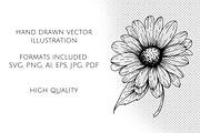 Daisy Flowers Line Art SVG, an Object Graphic by Dervik Art Store (Thumbnail 7 of 8)