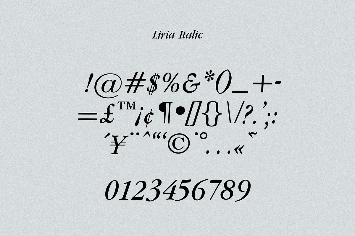 Liria Serif Typeface, a Serif Font by Nomad Visuals (Photo 7 of 12)