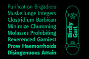Bella Sans (family font), a Sans Serif Font by PeanutButter Type (Thumbnail 13 of 18)