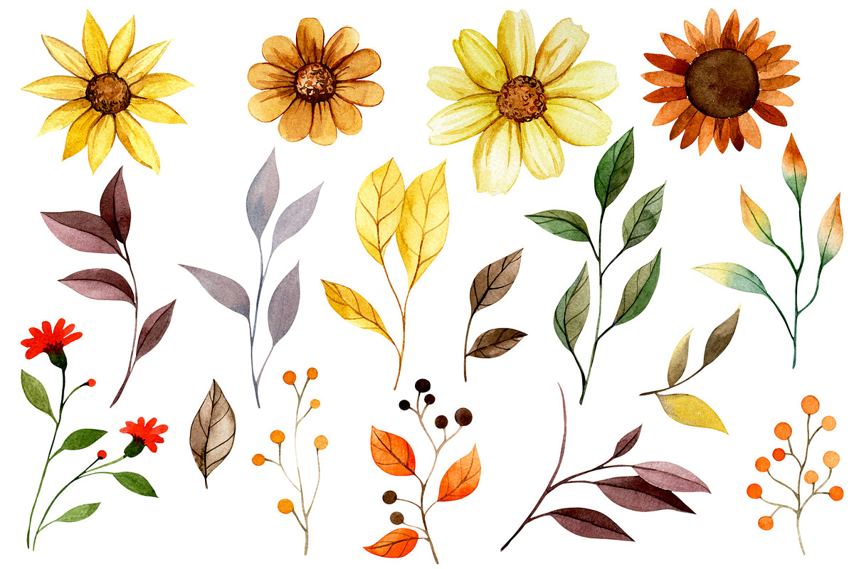 Autumn Flowers. Watercolor, a Seasonal Illustration by made by Tanya (Photo 3 of 5)