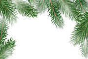 Fir tree branches vector set, a Decorative Illustration by MalinaShop (Thumbnail 5 of 5)