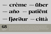Fanilex, a Serif Font by Propertype (Thumbnail 9 of 16)