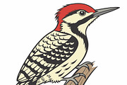 Red-headed woodpecker perched, an Animal Illustration by SouravDesign (Thumbnail 2 of 3)