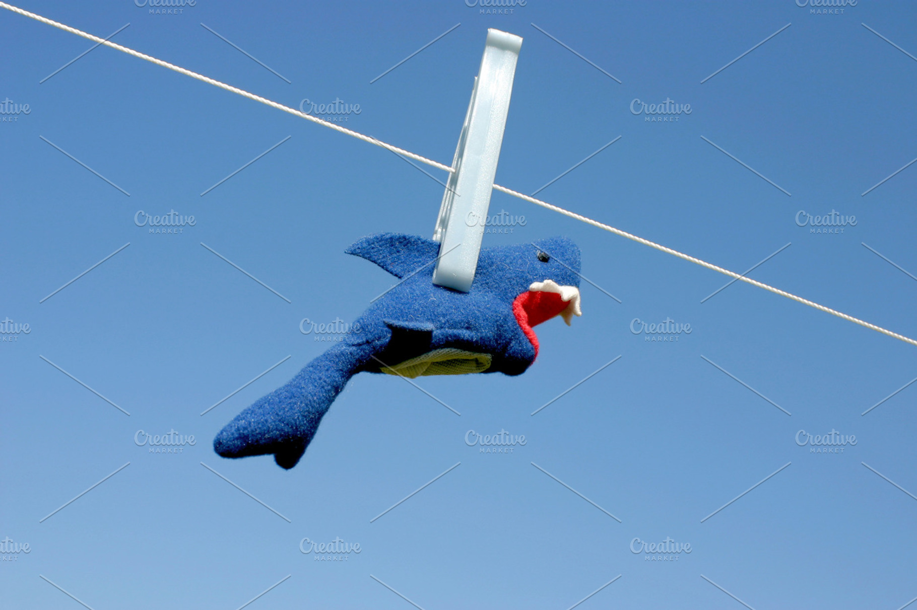 Business shark concept, an Animal Photo by BOOCYS