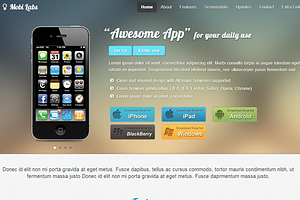 Mobile App Responsive Website theme
