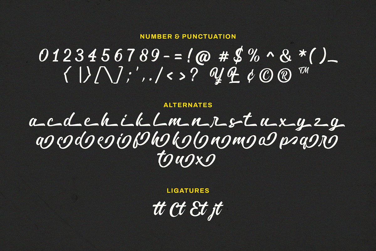 Volks Theatre Retro Fancy, a Script Font by Typetemp Studio (Photo 9 of 10)