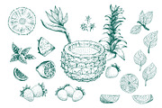 Pineapple Vector Collection, a Food Illustration by Lubov Illustrations Shop (Thumbnail 3 of 6)