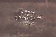 Wedding Titles - After Effects, a Templates & Theme by ConceptCafe (Thumbnail 4 of 6)