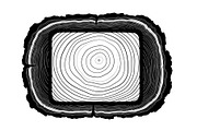 Rustic Wood Slice Frame Bundle, an Illustration by yasushie (Thumbnail 7 of 31)