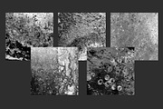 Rust & Grunge Background Textures, a Texture Graphic by M. by mprintly (Thumbnail 6 of 7)