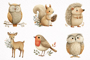 Cute Woodland Animal Clipart, an Illustration by DreamArtGraphic (Thumbnail 3 of 8)