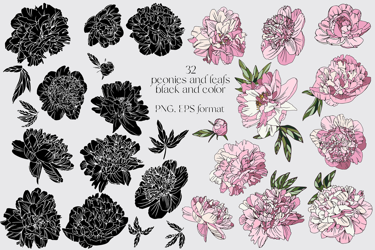 Female bodies and line art peonies, an Object Graphic by Vera●Suleimanova (Photo 13 of 17)