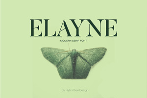 ELAYNE - Display Serif Font