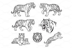 Bold vector collection of tigers, an Animal Illustration by yod67