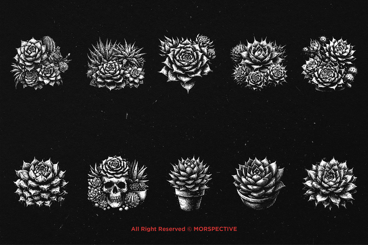 10 Bundle Dark Art Succulent Cactus, an Illustration by Morspective (Photo 6 of 7)