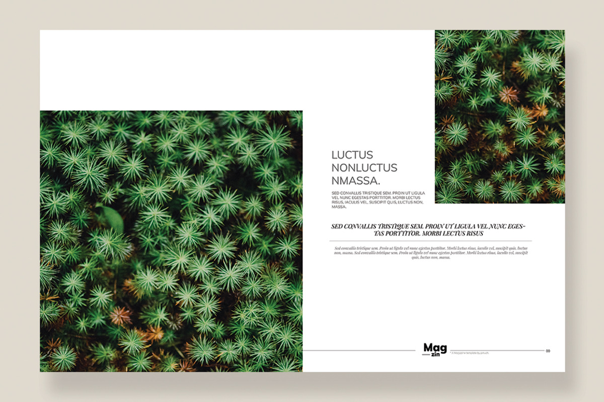 Magazine Template 10, a Magazine Template by pmvch (Photo 5 of 12)