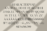 Minneth || Modern minimalist Serif, a Serif Font by Ermedia Studio (Thumbnail 10 of 10)
