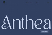 CS Anthea Drawn, a Serif Font by Craft Supply Co. (Thumbnail 1 of 8)