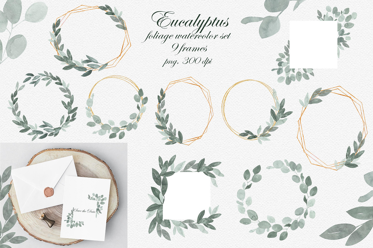 Eucalyptus Foliage Watercolor Set, an Illustration by Catch the Dream Art (Photo 2 of 7)