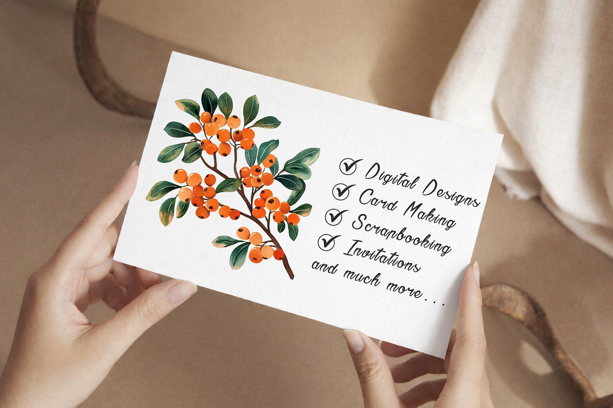 Watercolor Sea Buckthorn berry Clipa, an Illustration by Libby Wishes (Photo 2 of 7)