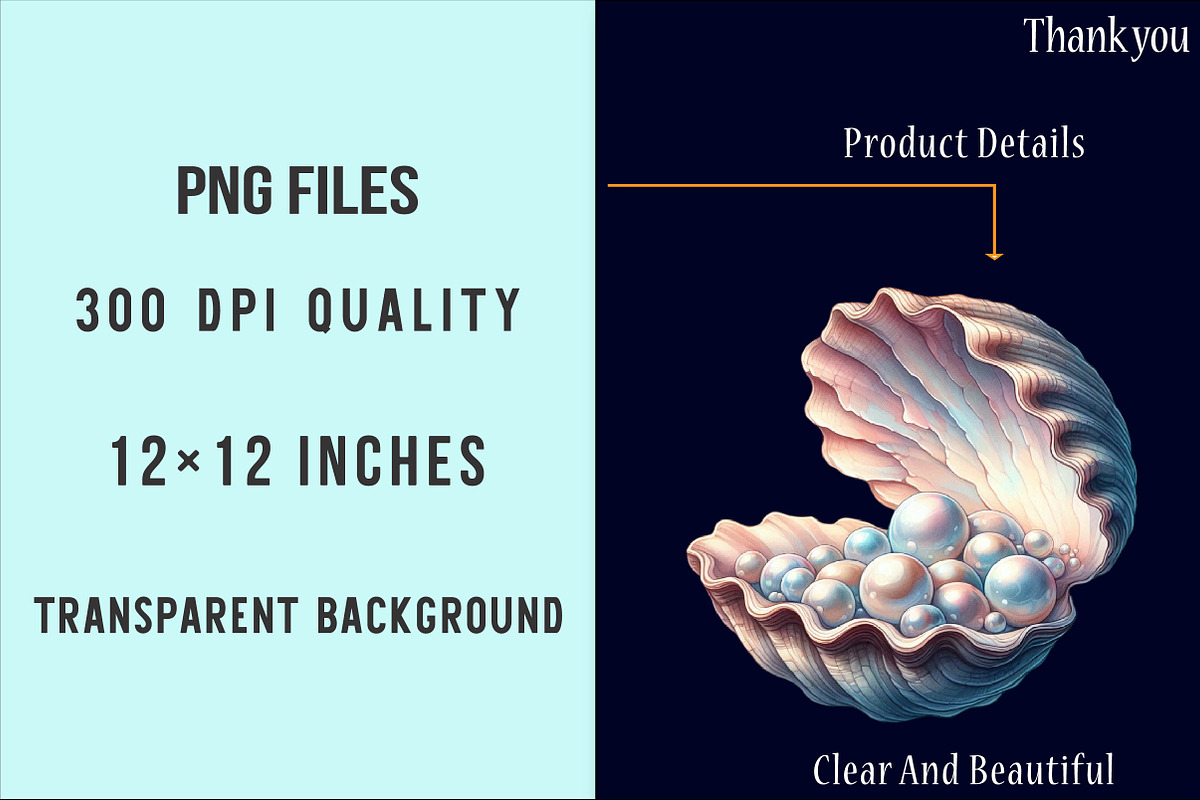 Ocean Sea Shell Sublimation Clipart, an Illustration by SinaCreation (Photo 4 of 5)
