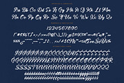 Hunter Shark Bold Calligraphy Font, a Script Font by stylishtype.co (Thumbnail 18 of 20)