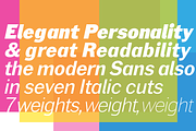XPress, a Sans Serif Font by Wiescher Design (Thumbnail 7 of 8)