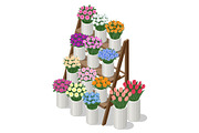 Isometric flower display rack with, a Person Illustration by Golden Sikorka (Thumbnail 2 of 3)