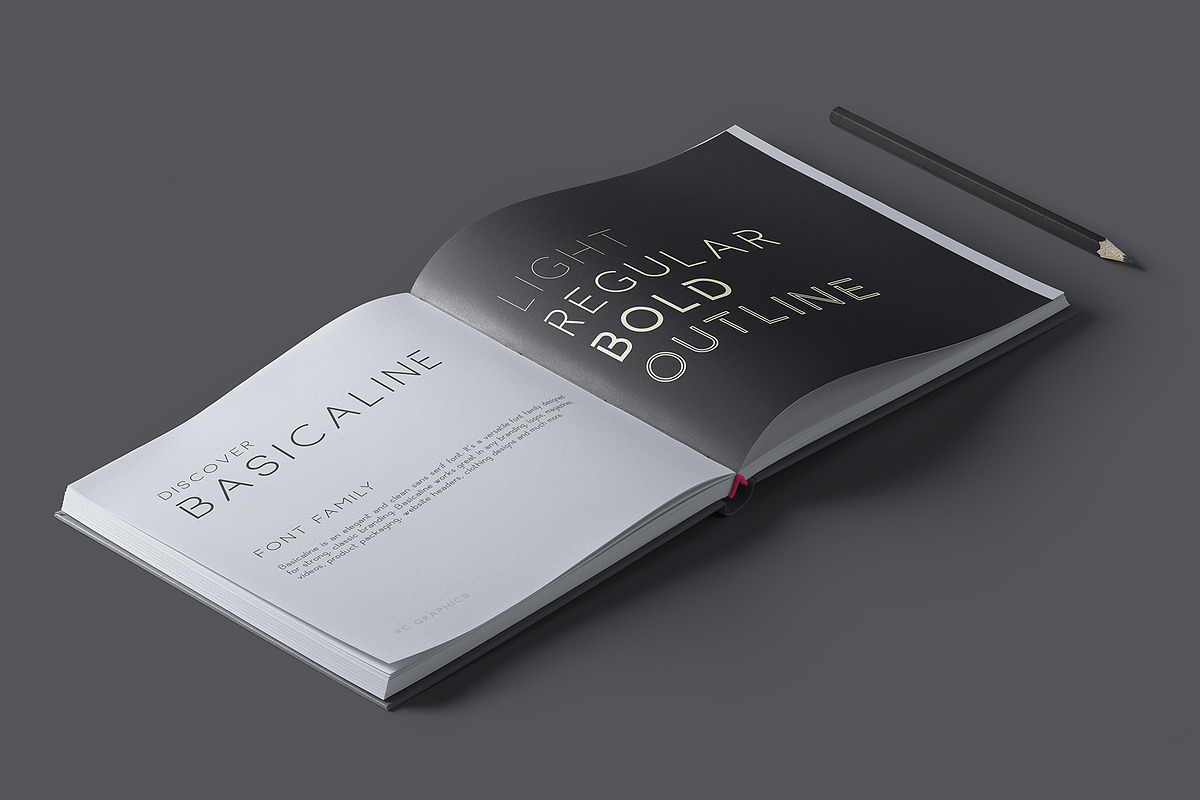 Basicaline Font Family - Sans Serif preview 2