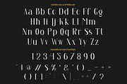 Arash - Vintage Serif Font, a Serif Font by PutraCetol Studio (Thumbnail 4 of 9)