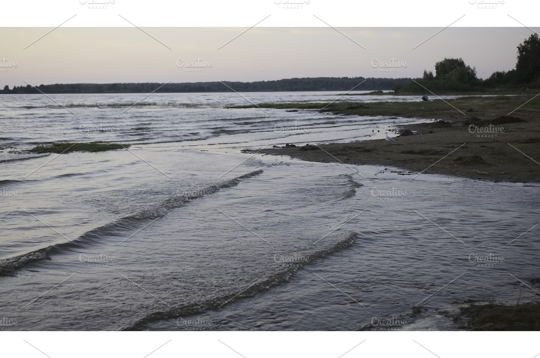 Waves on shallow water of lake beach, a Nature Photo by Media Whale Stock