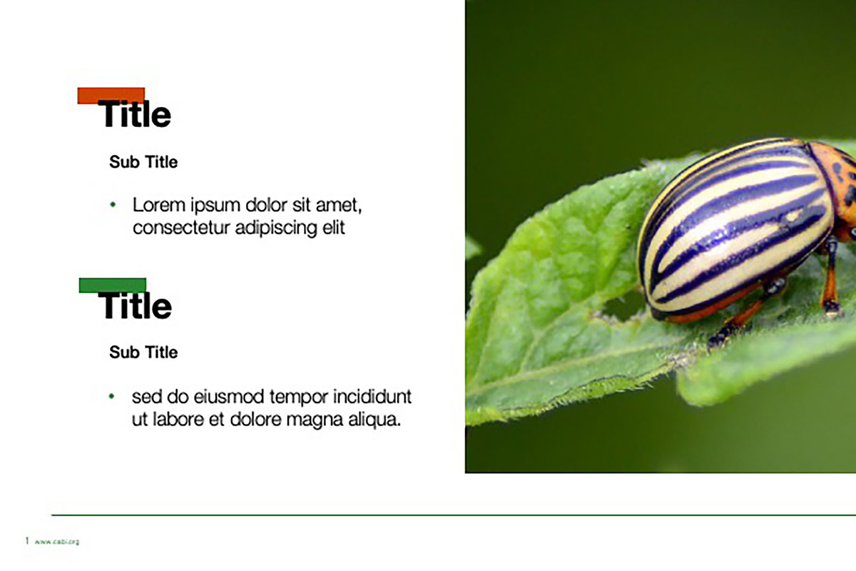 Colorful Template For Any Use, a Templates & Theme by Iconography - Pitch Deck (Photo 24 of 36)