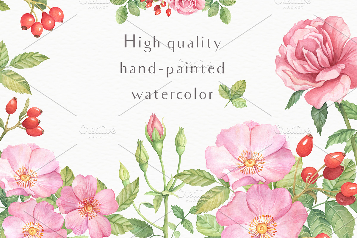 Wild Roses Watercolor Set, a Decorative Illustration by Irina Diasli (Photo 2 of 9)