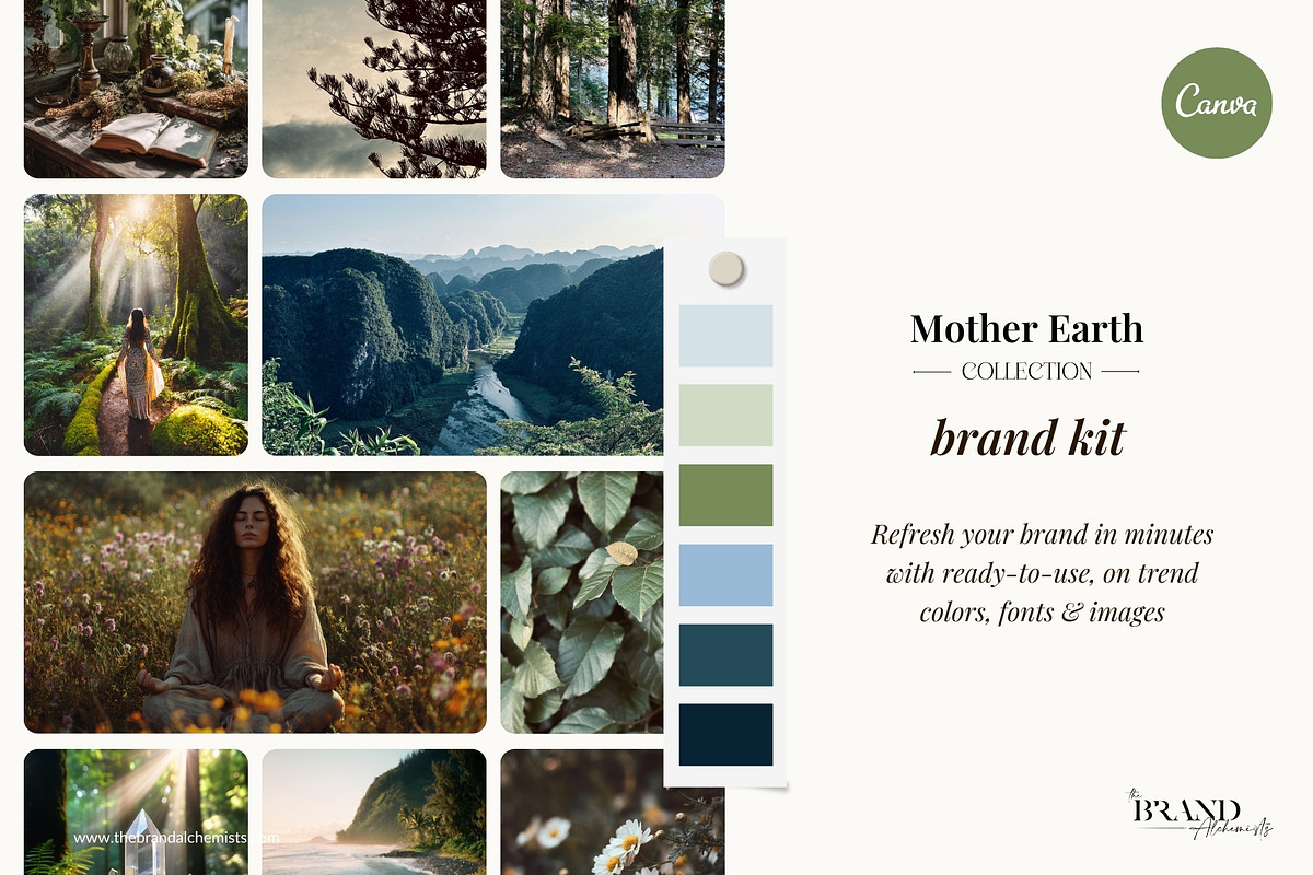 Earthy Canva Brand Kit & Stock Images