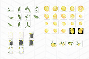 Hand painted Watercolor Lemons, a Food Illustration by Tubigan Art (Thumbnail 2 of 6)