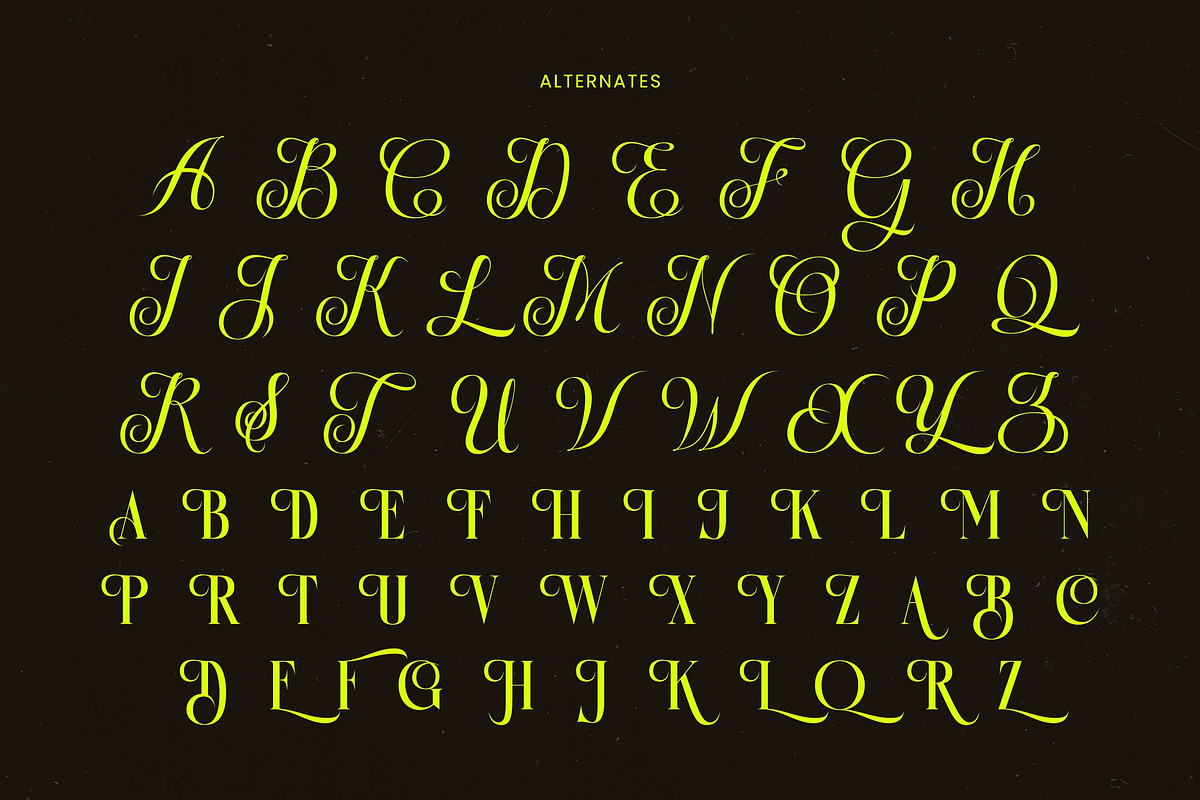 Antique Orchad Hybrid Serif Font, a Serif Font by timelesstype.co (Photo 16 of 20)