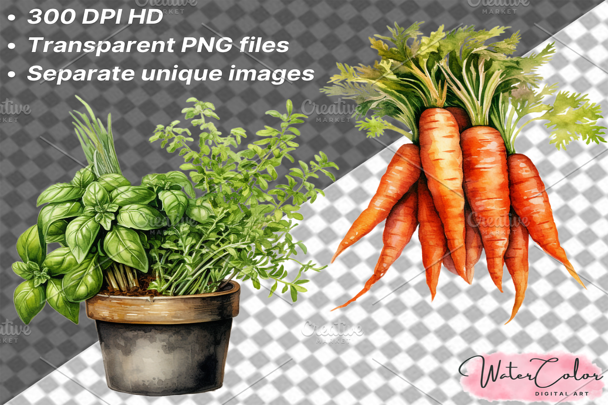 Vegetables Collection Clipart, a Food Illustration by Watercolor Digital (Photo 5 of 9)