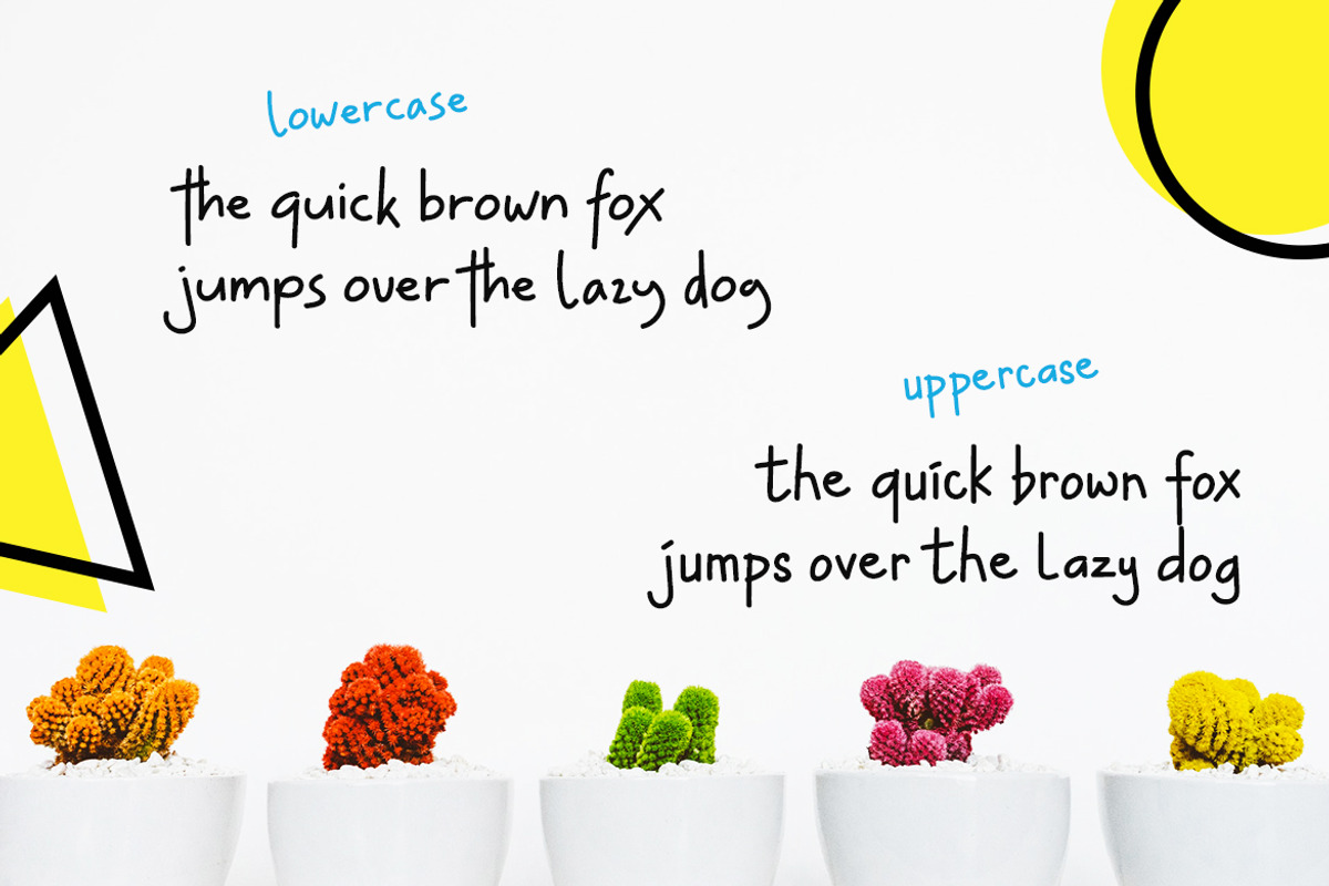 Hey Lucky! Displays Instagram preview 4