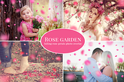Rose Garden - pink petals overlay, an Object Graphic by BrownLeopard (Thumbnail 1 of 5)