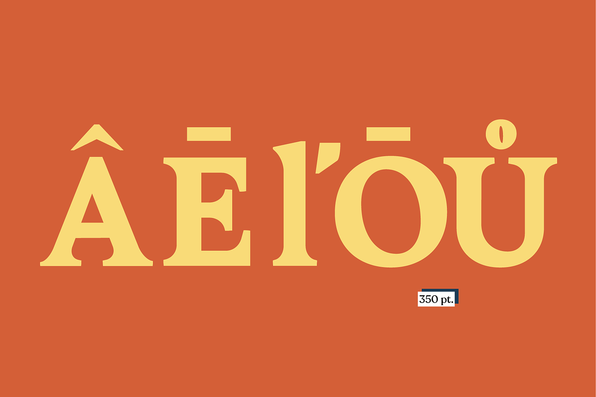 Acelga preview 4