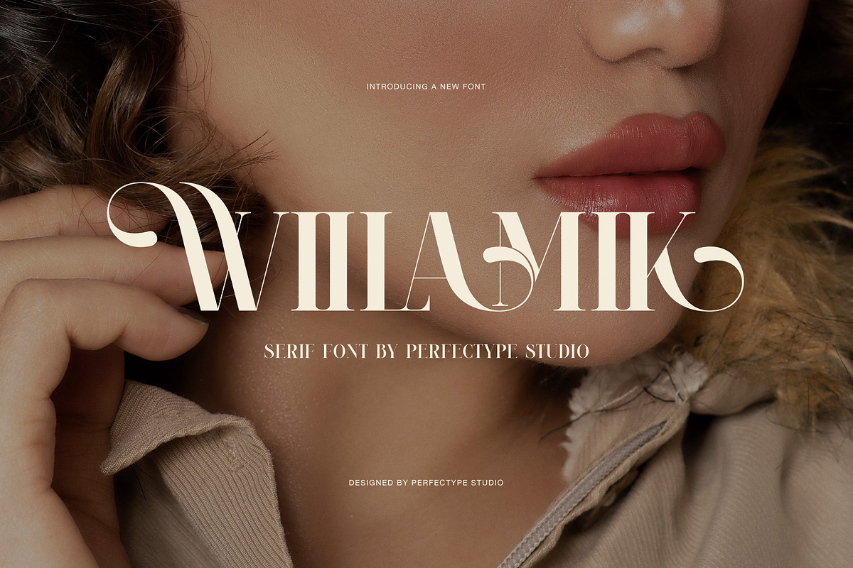 Wiilamik Elegant Serif Font, a Serif Font by Perfectype (Photo 1 of 8)