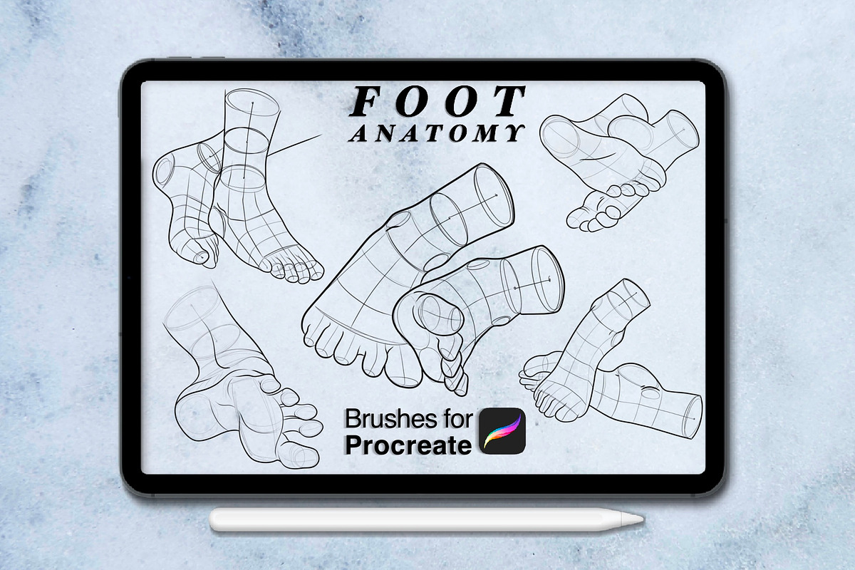 100 foots anatomy procreate brushes, a Brush Add-On by Arts For Peace (Photo 3 of 7)