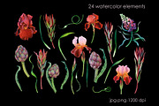 Shadow Grove Mystical Watercolor Kit, an Object Illustration by SunnJaneArt (Thumbnail 2 of 8)
